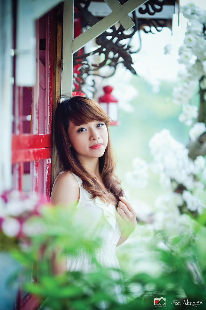 龙拳小子2